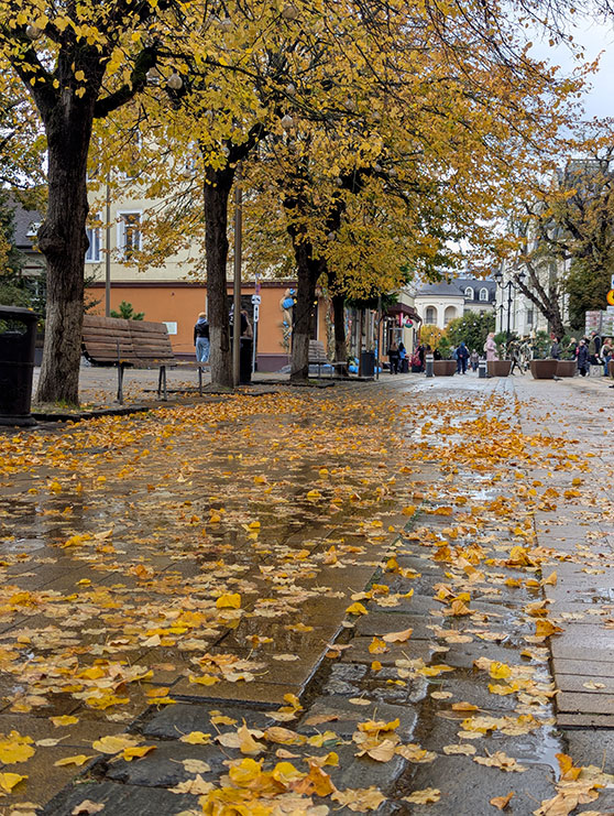 Осень в Зеленоградске